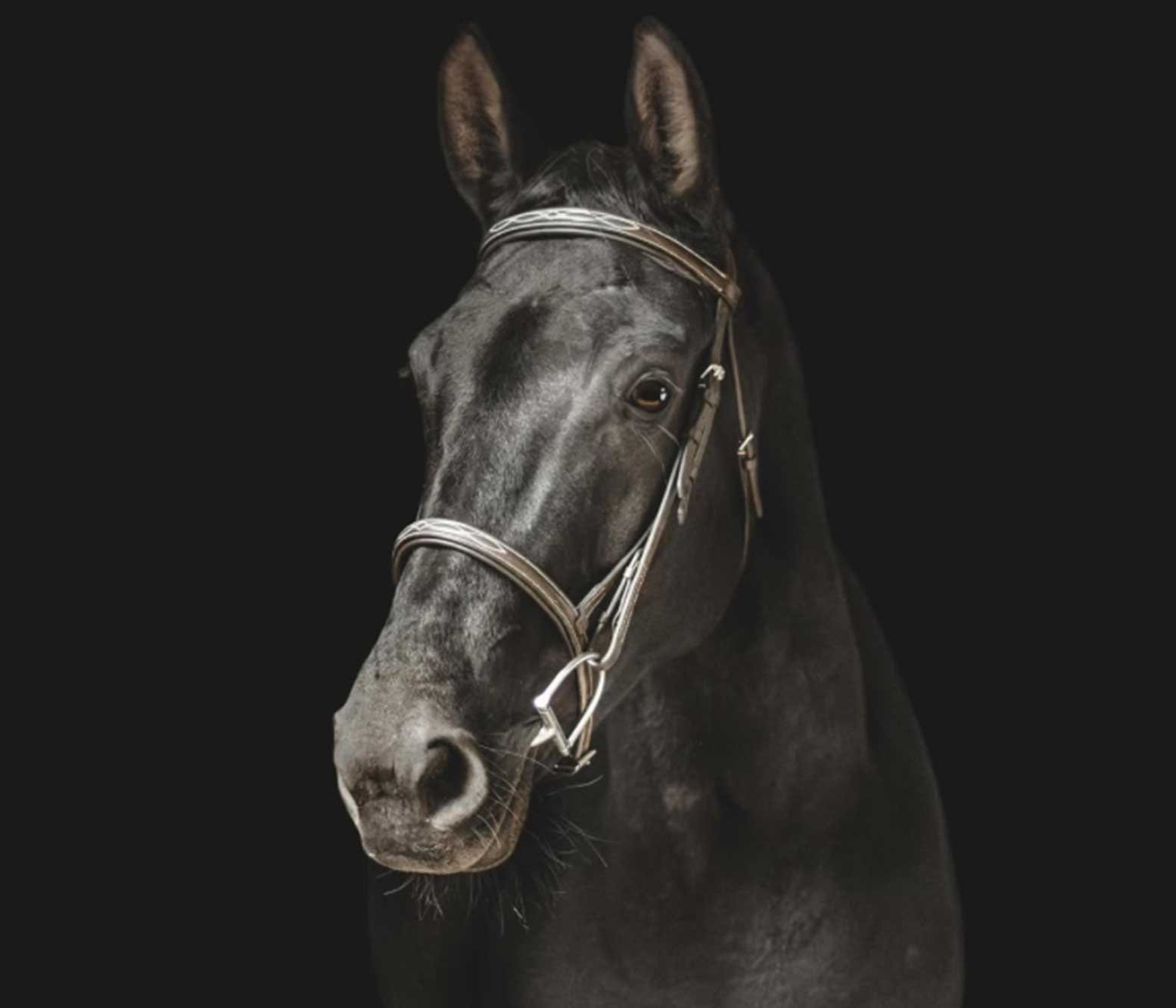 Kameo HF aka “Mango”